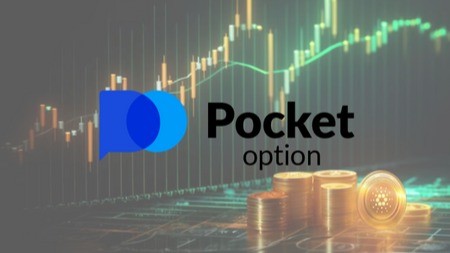 Comprehensive Overview of the Broker Pocket Option
